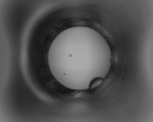 X0000100320764200806191003