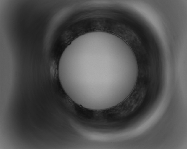 X0000100320766200806191003