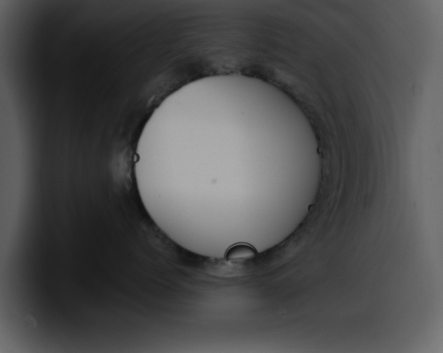 X0000100320768200806191003