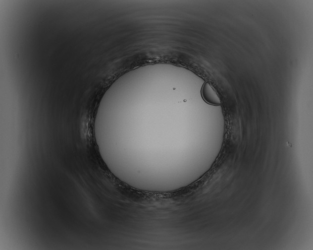 X0000100320770200806191002