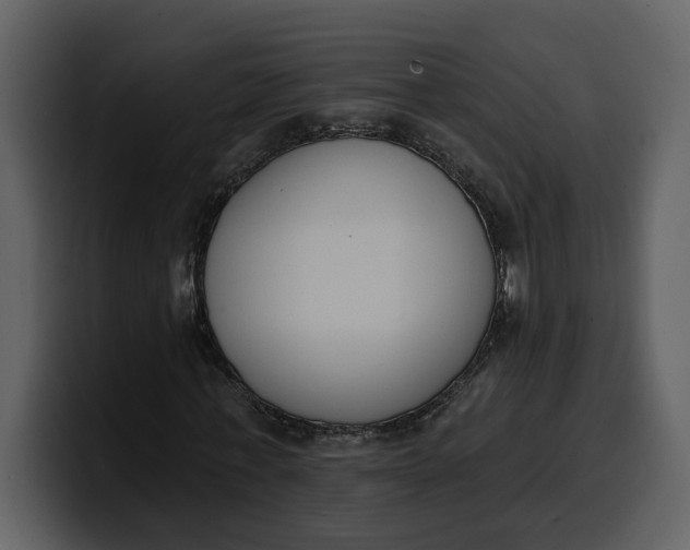 X0000100320771200806191002