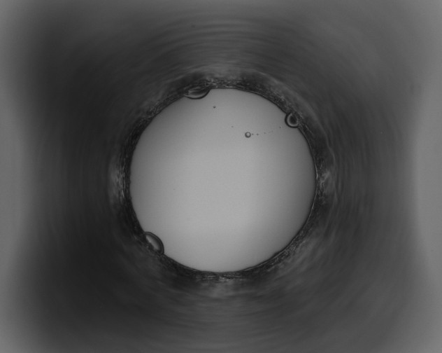 X0000100320772200806191002