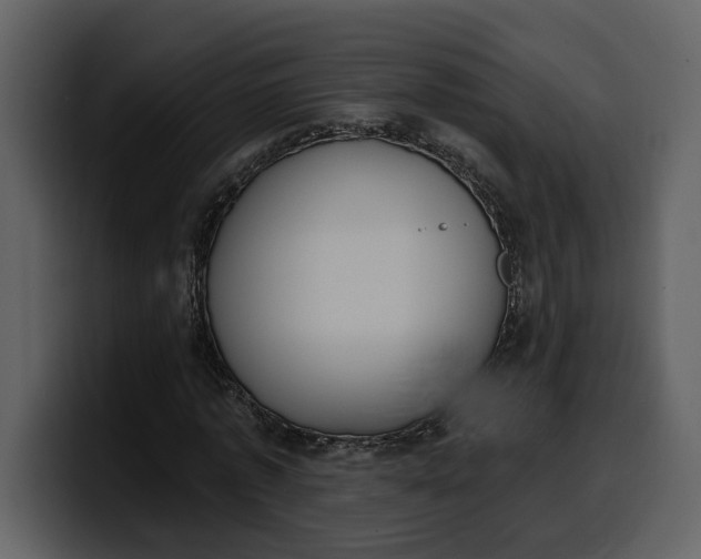 X0000100320773200806191002