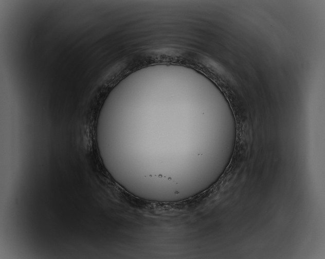 X0000100320774200806191002