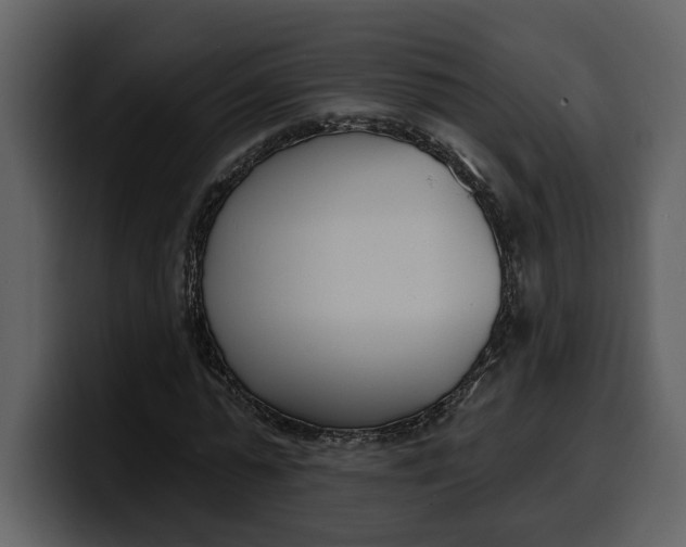 X0000100320775200806191002