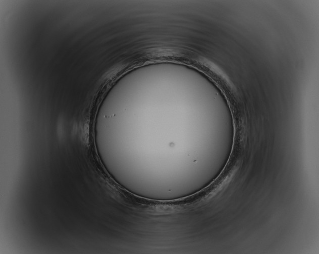 X0000100320777200806191002