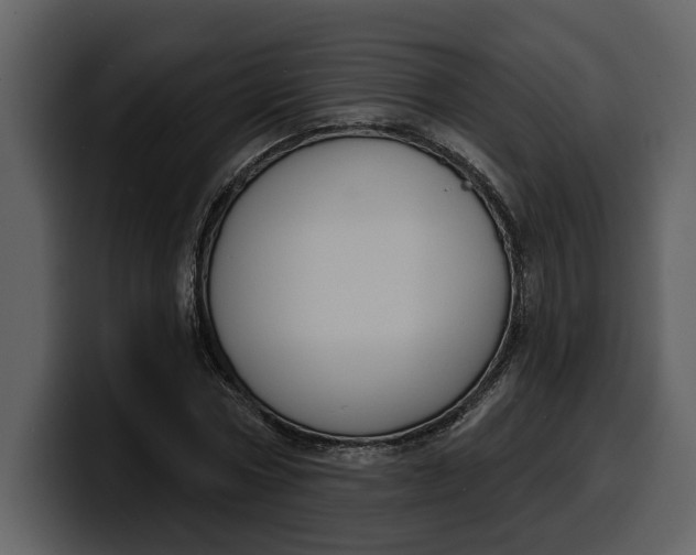 X0000100320778200806191002