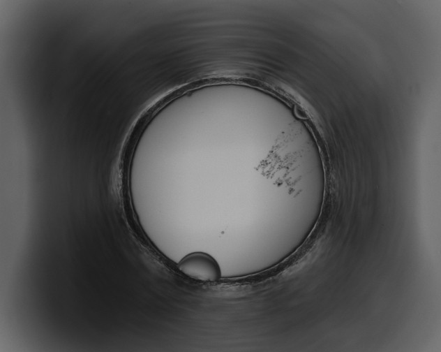 X0000100320779200806191002