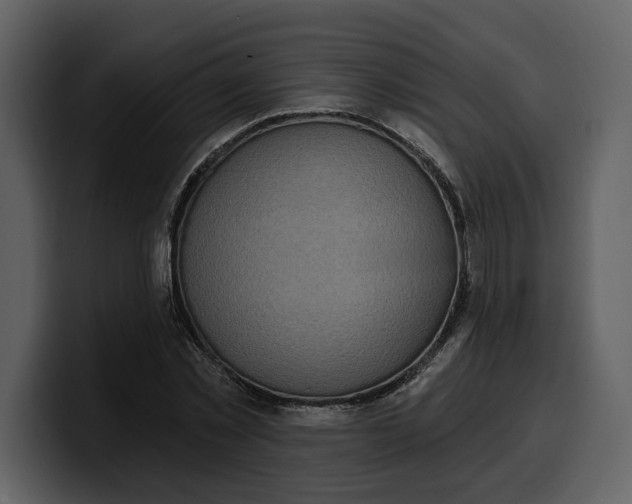 X0000100320781200806191002