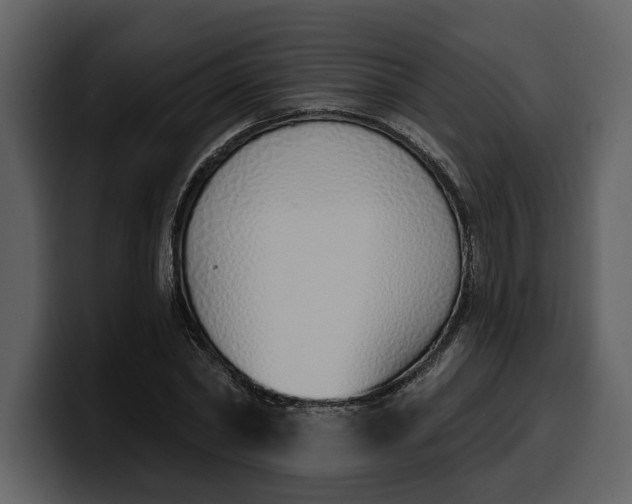 X0000100320782200806191002