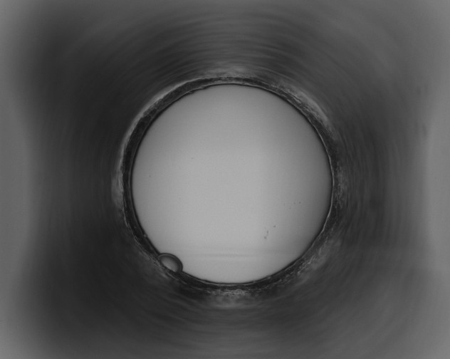 X0000100320784200806191002