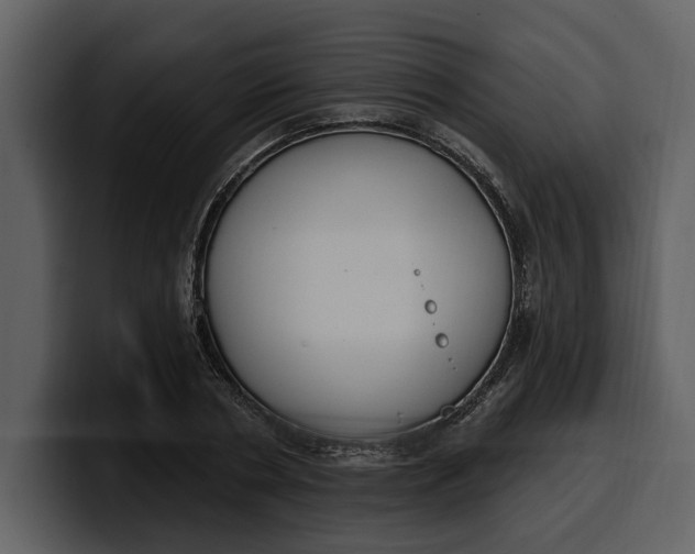 X0000100320786200806191002