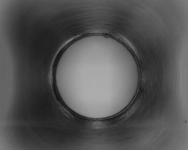 X0000100320787200806191002