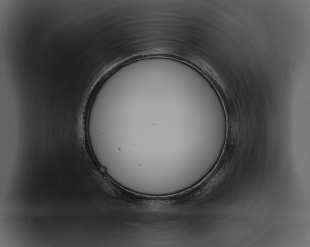 X0000100320789200806191002