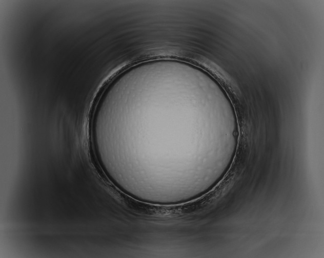 X0000100320790200806191002