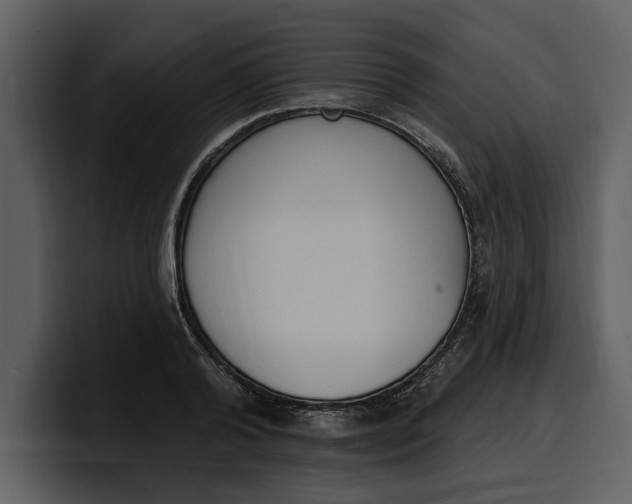 X0000100320792200806191002