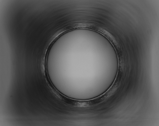 X0000100320794200806191002