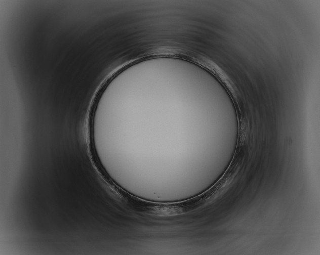 X0000100320795200806191002