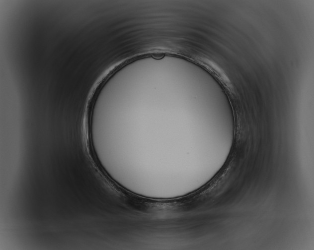 X0000100320796200806191002