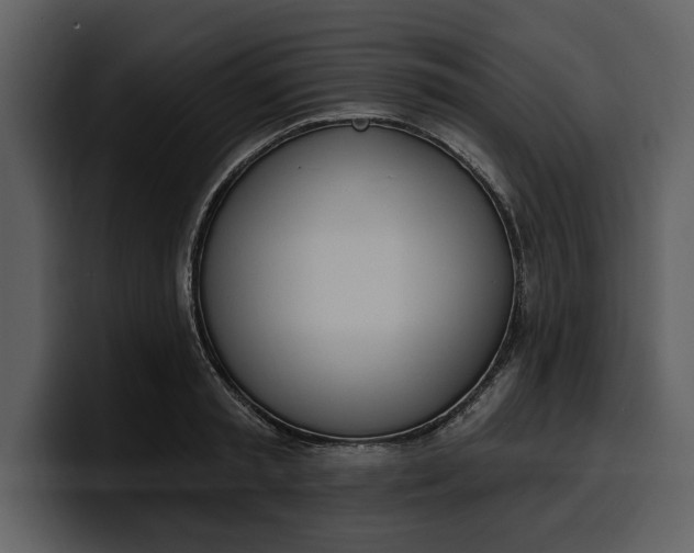 X0000100320797200806191002