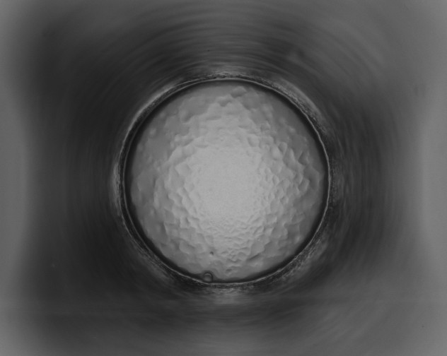 X0000100320798200806191002