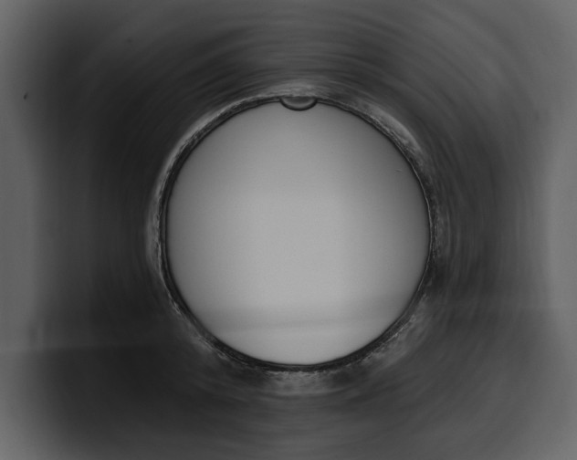 X0000100320800200806191002