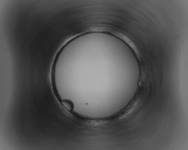 X0000100320803200806191002