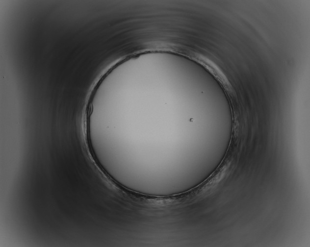 X0000100320804200806191002