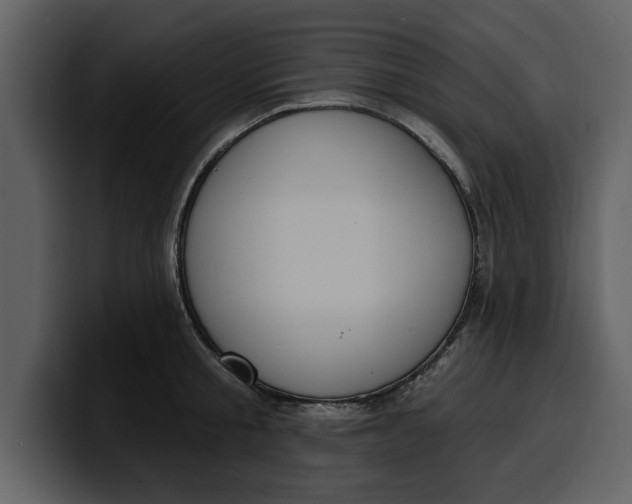 X0000100320805200806191002