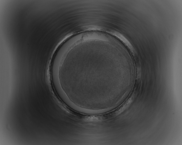 X0000100320806200806191002