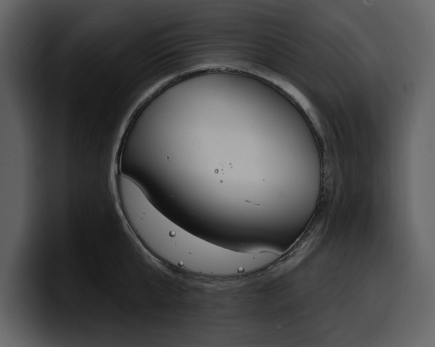 X0000100320807200806191002