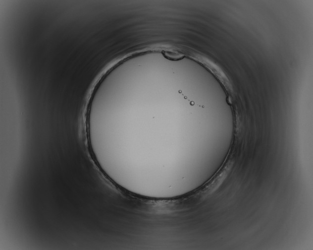 X0000100320808200806191002