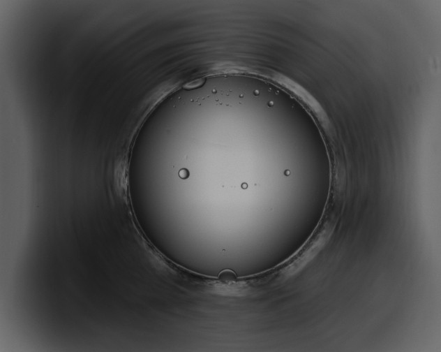 X0000100320809200806191002