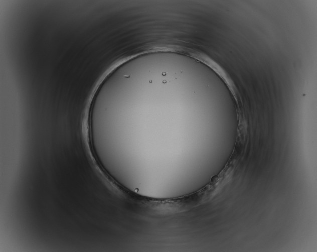 X0000100320811200806191002