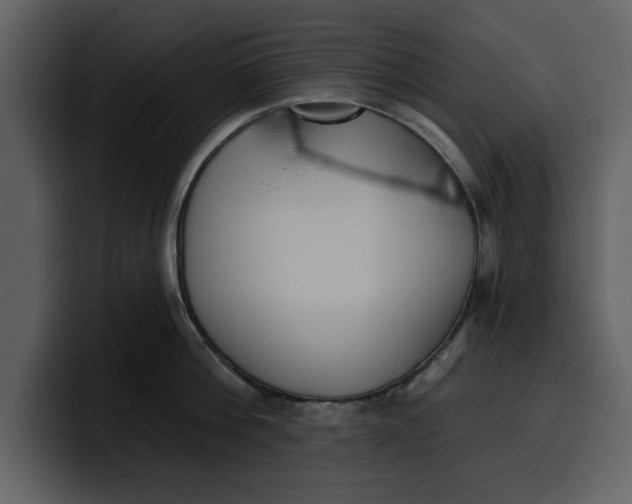 X0000100320812200806191002