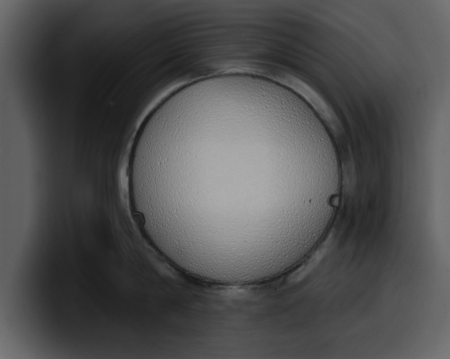 X0000100320814200806191002