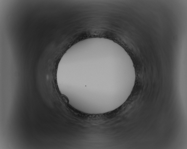 X0000100320817200806191001