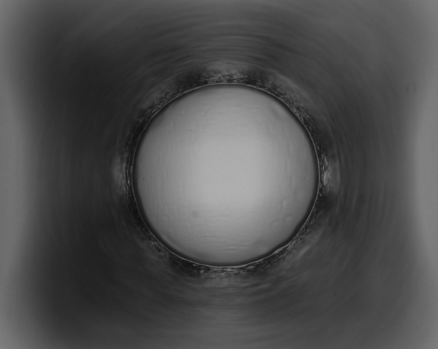 X0000100320819200806191001