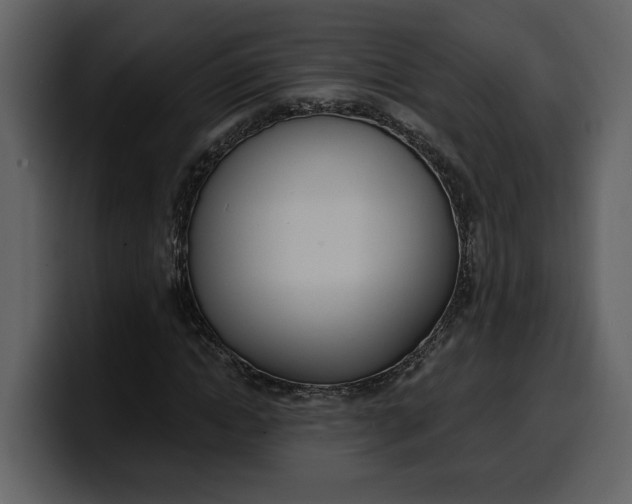 X0000100320822200806191001