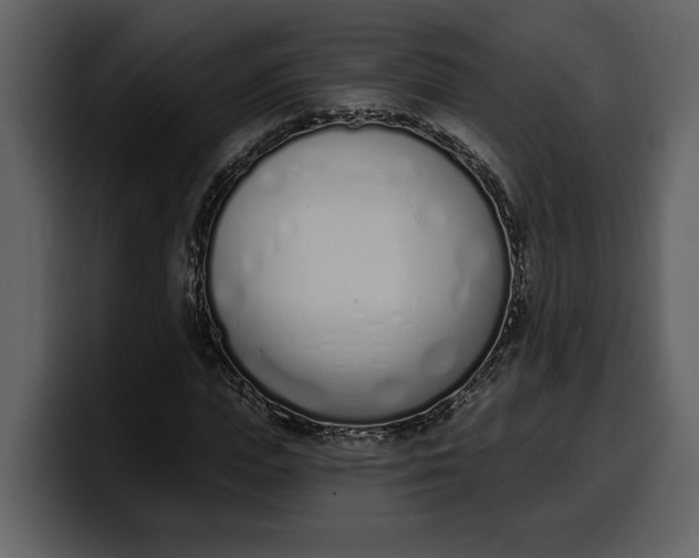 X0000100320823200806191001