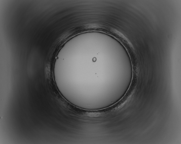 X0000100320825200806191001