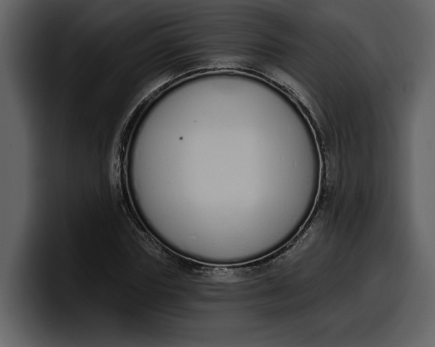 X0000100320827200806191001