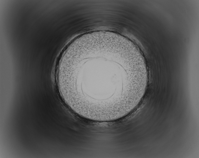 X0000100320828200806191001