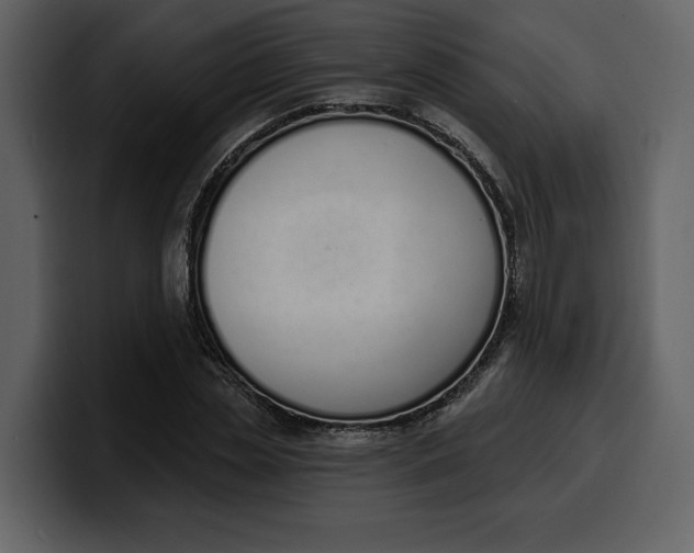 X0000100320829200806191001