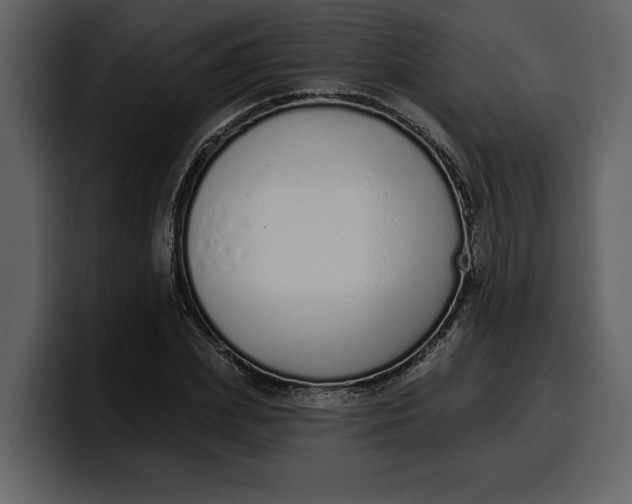 X0000100320831200806191001