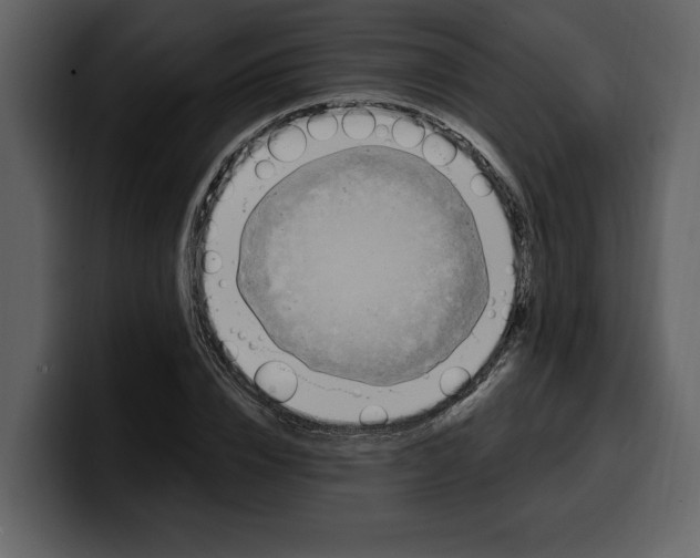 X0000100320832200806191001