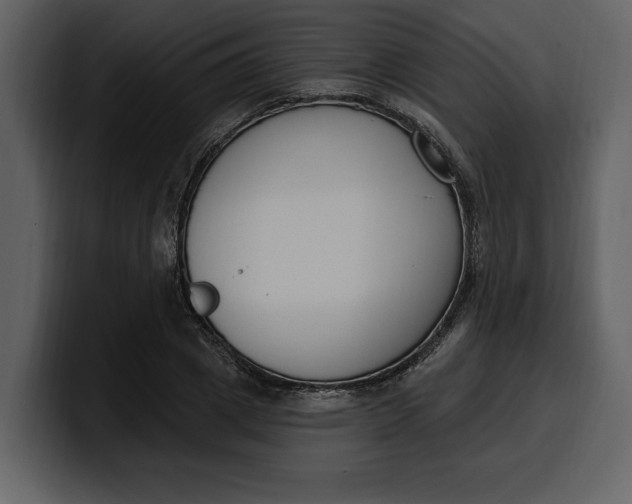 X0000100320833200806191001