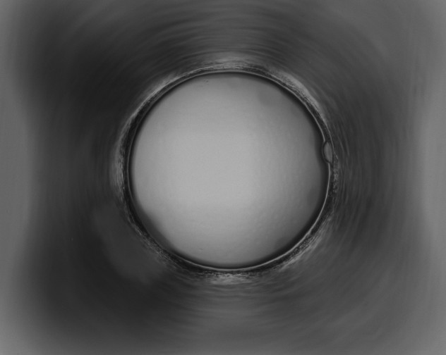 X0000100320835200806191001