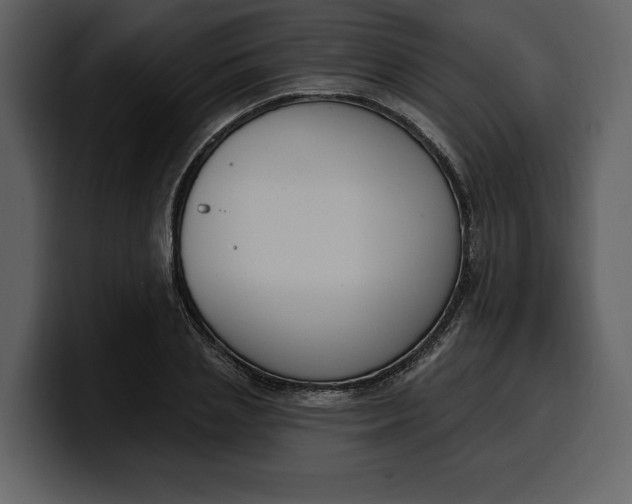 X0000100320837200806191001