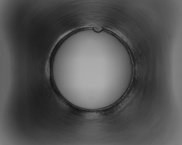 X0000100320838200806191001